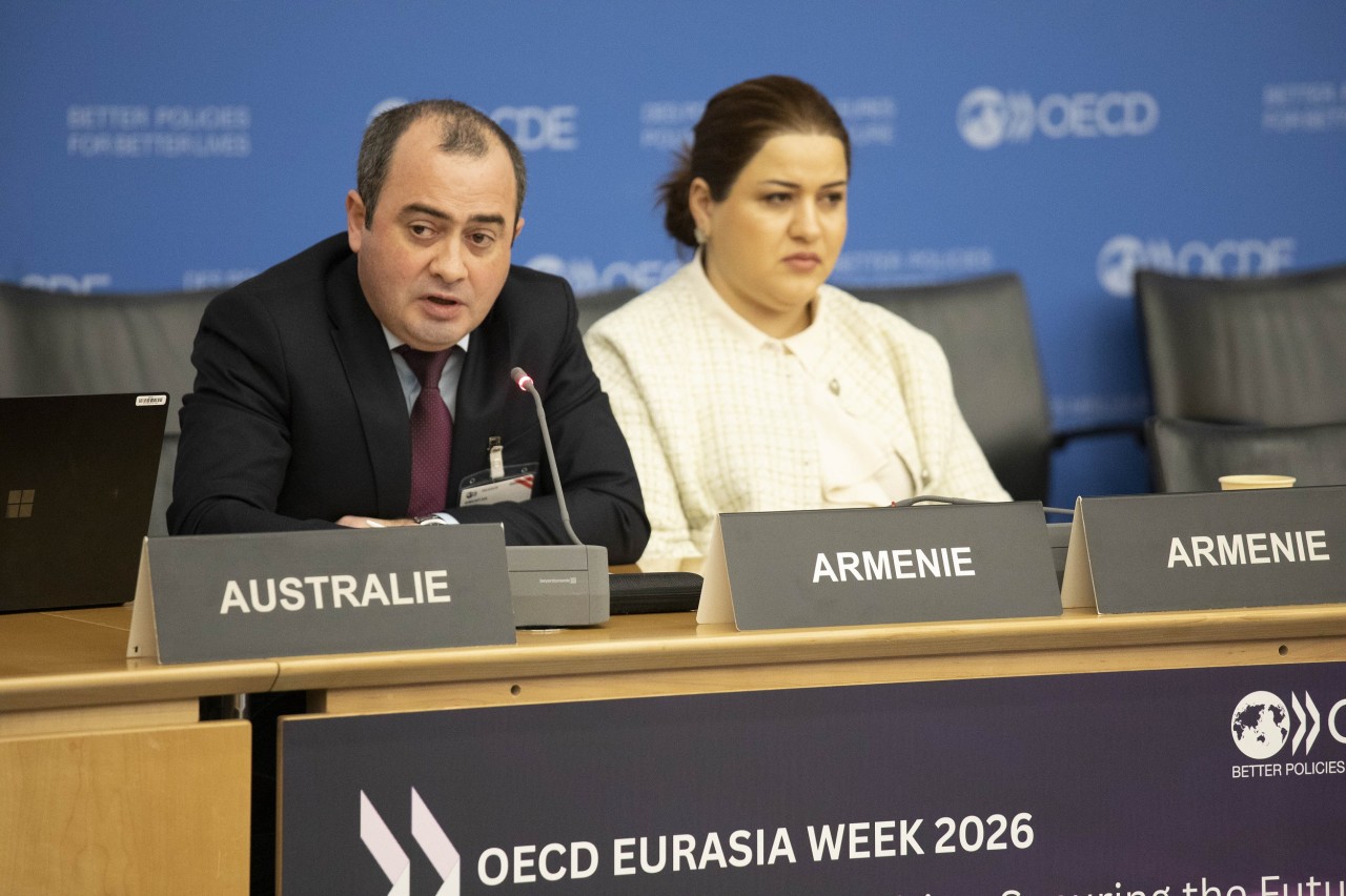 ԲՏԱ նախարարի տեղակալը Փարիզում մասնակցել է OECD Eurasia Week 2026 համաժողովին
